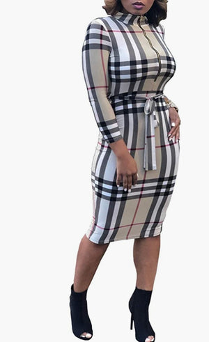 Classy Bodycon Long Sleeve Slim Fit Zipper Dress